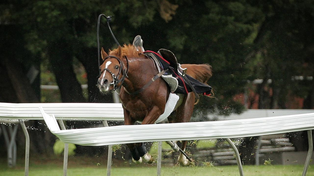 Carte Diamond crashes through the metal running rail a few days prior to the 2005 Melbourne Cup, after losing a jockey near the 800 metre mark.