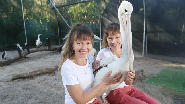 Paula and Bridgette Powers are from Twinnies Pelican and Seabird Rescue. Photo AAP/ Ric Frearson