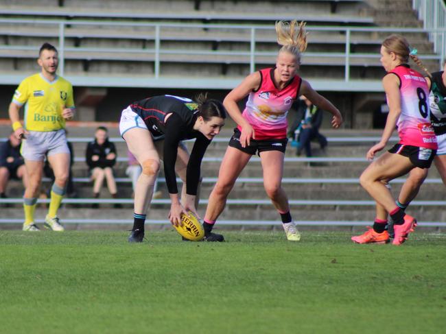 SFLW Community League: Hutchins v Cygnet. Picture: Jake Garland