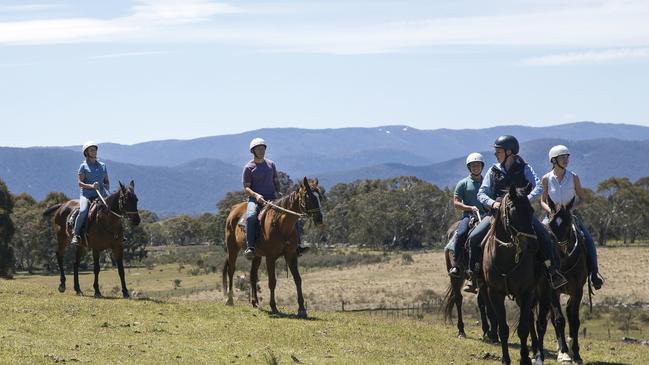 In Australia, we celebrate the bush when it suits us. Picture: Destination NSW