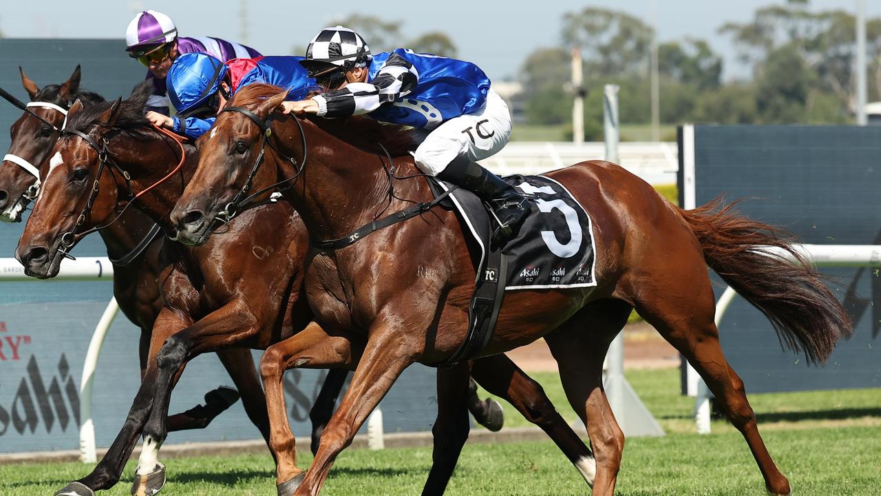 Vauban charges home to claim his first Australian win in the Sky High Stakes at Rosehill. Picture: Getty Images