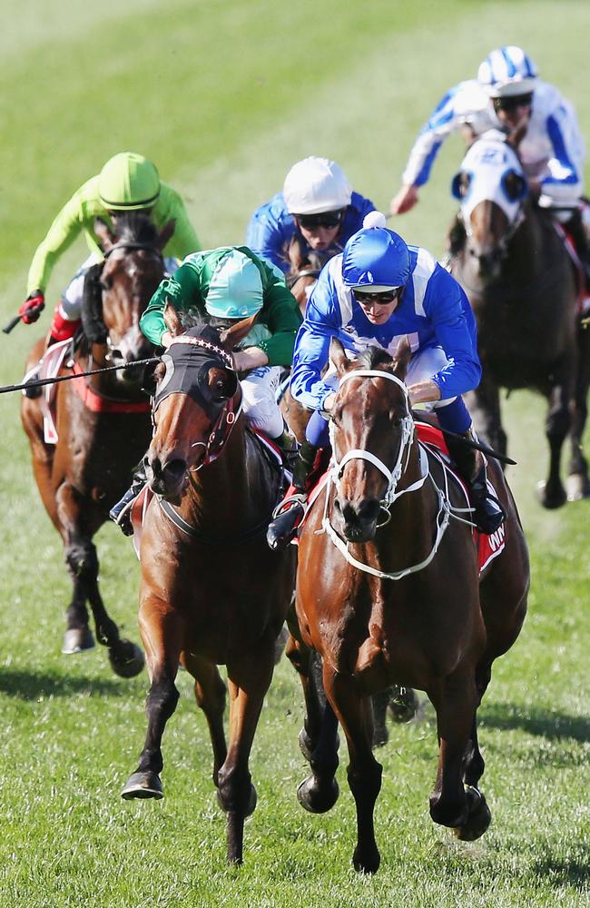 Humidor comes at Winx in a thrilling finale which saw Winx win her third consecutive Cox Plate. Picture: Getty Images