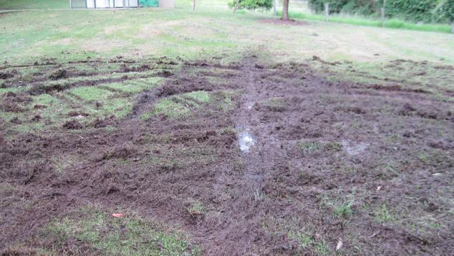 ‘Muddy mess’: Vandals destroy popular picnic spot just before Aus Day