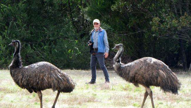 Roger Smith from Echidna Walkabout will cease taking tours around the Geelong and Great Ocean Road areas. Picture: Mark Wilson