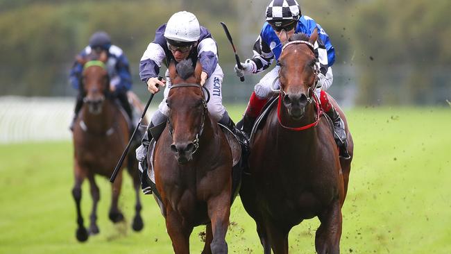 Big Duke ridden by Craig Williams (right) runs alongside Our Century ridden by Ben Melham in the closing straight during the Irresistible Pools &amp; Spas N E Manion Cup race during Golden Slipper Day at Rosehill Racecourse in Sydney, Saturday, March 18, 2017. (AAP Image/David Moir) NO ARCHIVING, EDITORIAL USE ONLY