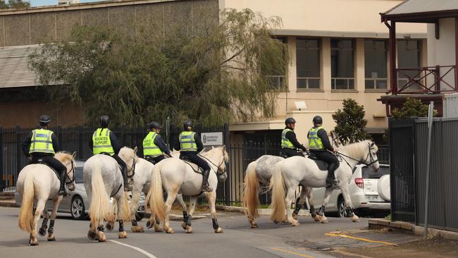 The police barracks and the Police horses will make way for the new Women's and Children's Hospital. Picture Dean Martin