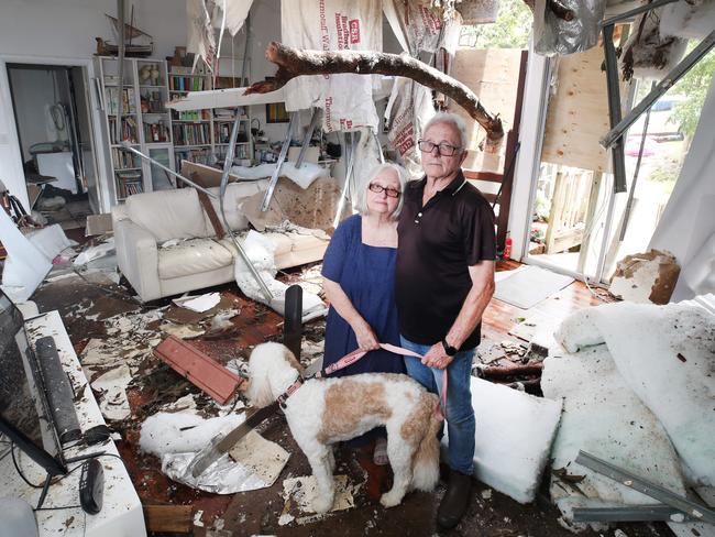 HOLD GOLD COAST BULLETIN EMBARGO 5TH JAN  Damage from the storms that brought tornados and flooding rains to Mt Tamborine. Susan and David Hanmore, with dog Gracie, marvel at how lucky they were to escape with minor injuries after a tree went through their home on  Kinabalu Drive. . Picture Glenn Hampson