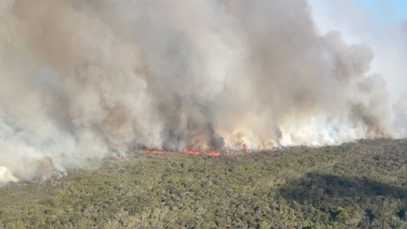 The Byron Shire fire. Photo: Rural Fire Service NSW