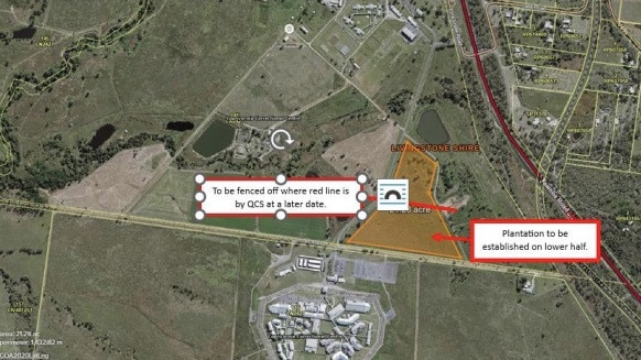 Rockhampton Zoo's 4000-tree plantation site at the Capricornia Correctional Centre.