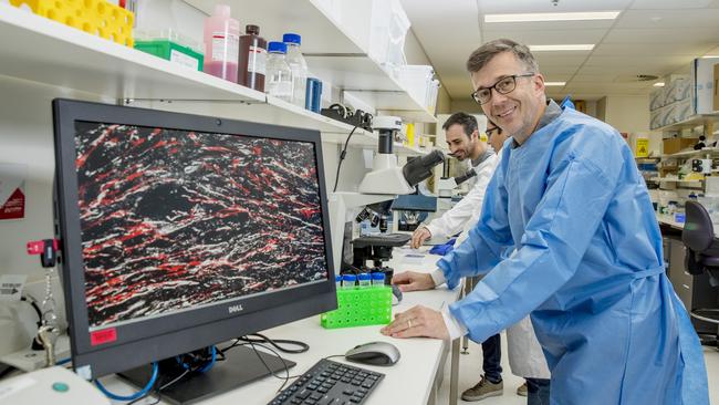 Team Leader Associate Professor James St John at the labs at the Griffith University Gold Coast campus where a major spinal injury research project is taking place. Picture: Jerad Williams