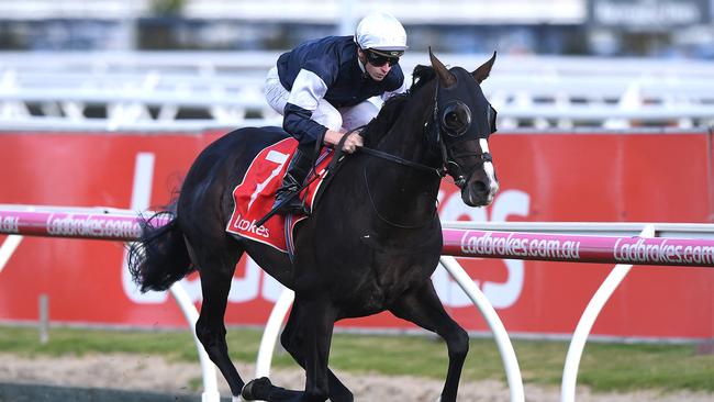 Yucatan cruises to victory in the Herbert Power Stakes. Picture: AAP