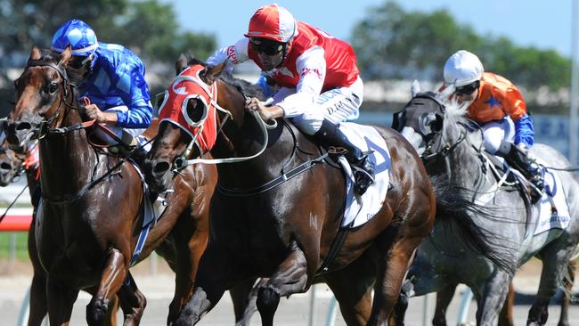 Diamond Oasis scored an impressive win at the Gold Coast last month. Picture: Grant Peters