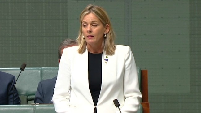 New Liberal MP Angie Bell gives her first speech in parliament