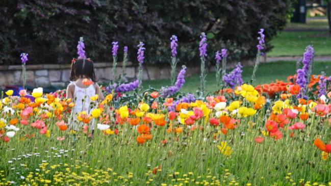 Carnival gardens have evolved to be more than just a temporary splash of colour.