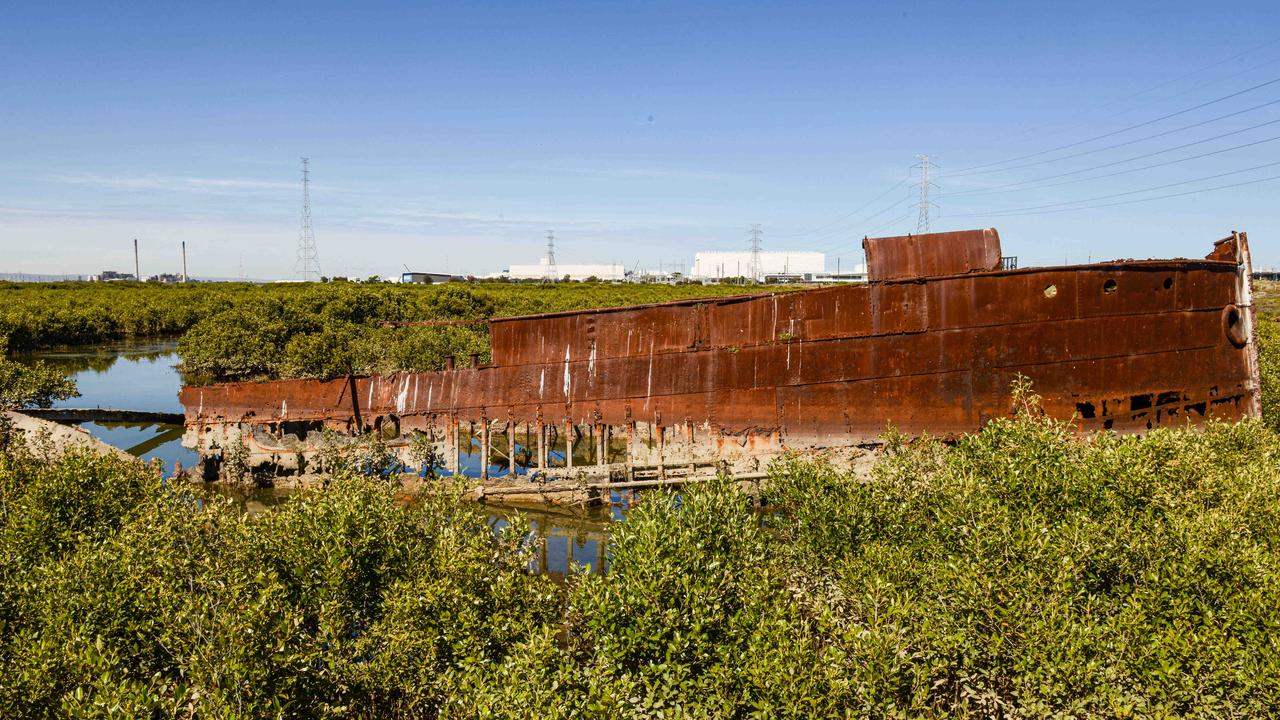 Part of Mutton Cove Conservation Reserve, which will be the site of the new shipyard to build the AUSKUS submarines. Picture: NCA NewsWire / Brenton Edwards