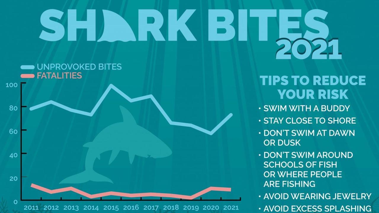 While unprovoked bites increased in 2021 compared to recent years, long-term trends show both non-fatal and fatal bites are within average ranges. Picture: Jane Dominguez/University of Florida