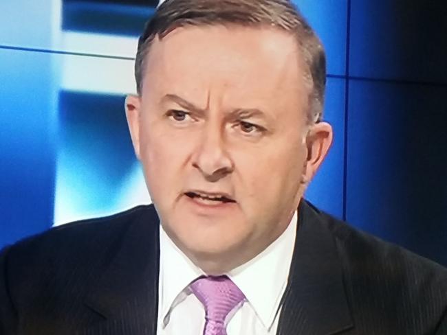 Anthony Albanese on 7.30