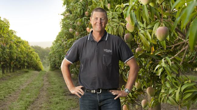 Brothers in arms: Gavin Scurr runs a mixed operation growing mangoes, pineapples and strawberries with his brother Stephen.