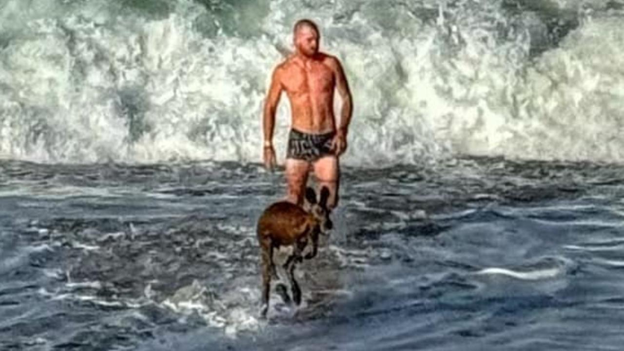 Many people praised the actions of the “legend” who rescued the kangaroo with one woman stating, “Looks like I’m heading to the beach tomorrow to pretend to drown.” Picture: Annette Oaks / Facebook.