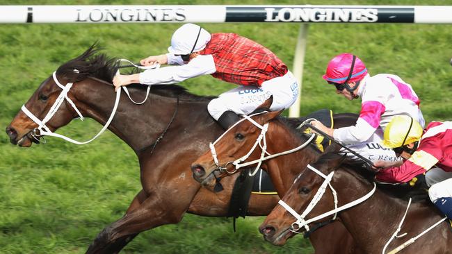 Lord Mayor beats stablemates Quick Defence and Brimham Rocks. Picture: Getty Images