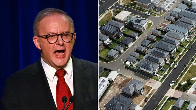 Anthony Albanese housing artwork. NSW real estate.