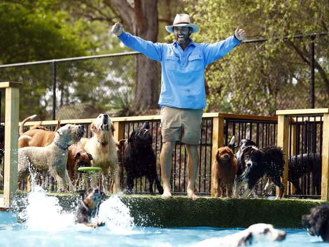 It’s hard to know who has more fun at the farm, Luke or the dogs. Picture: Sam Ruttyn