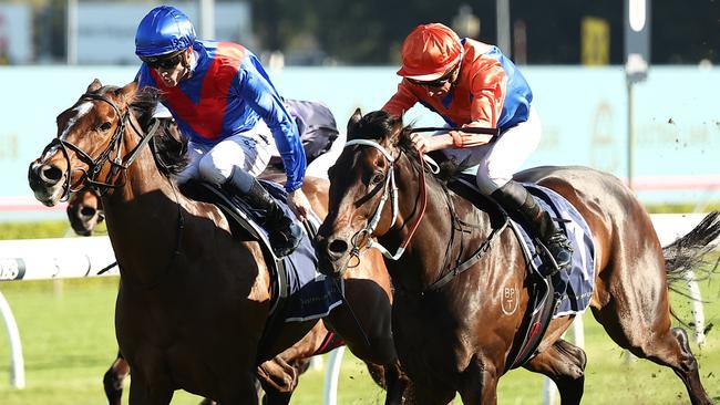 Think It Over won the inaugural 7 Stakes last spring in an amazing comeback from injury. Picture: Jeremy Ng/Getty Images