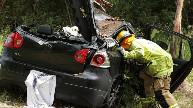 Scene on Old Gympie Road at Glasshouse Mountains where two people were killed after a tree fell on their car. Picture Lachie Millard