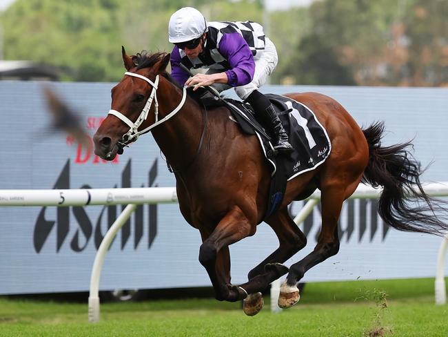 SYDNEY, AUSTRALIA - JANUARY 18: James McDonald riding Osipenko win Race 7 Asahi Super Dry January Cup during Sydney Racing at Rosehill Gardens Racecourse on January 18, 2025 in Sydney, Australia. (Photo by Jeremy Ng/Getty Images)