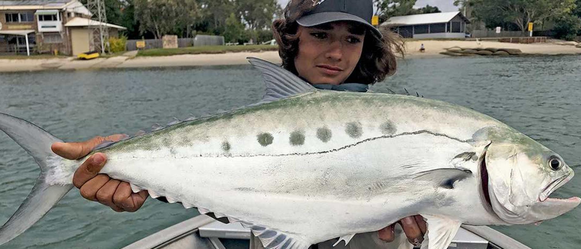 GOTCHA – Valentino Serra was fishing the Coast Guard/Current Line stretch of the Noosa River when this thumper queenfish smashed his Squidgy Prawn lure. Photo: www.fishingnoosa.com.au