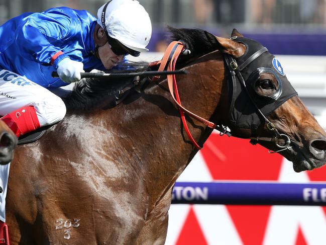 Derby Races at Flemington. 03/11/2018. Race 8. The Kennedy Mile.  Best of Days ridden by Craig Williams wins race 8   . Pic: Michael Klein