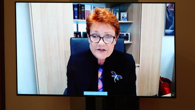 Pauline Hanson speaks in the Senate Chamber via video conference. Picture: NCA NewsWire / Gary Ramage