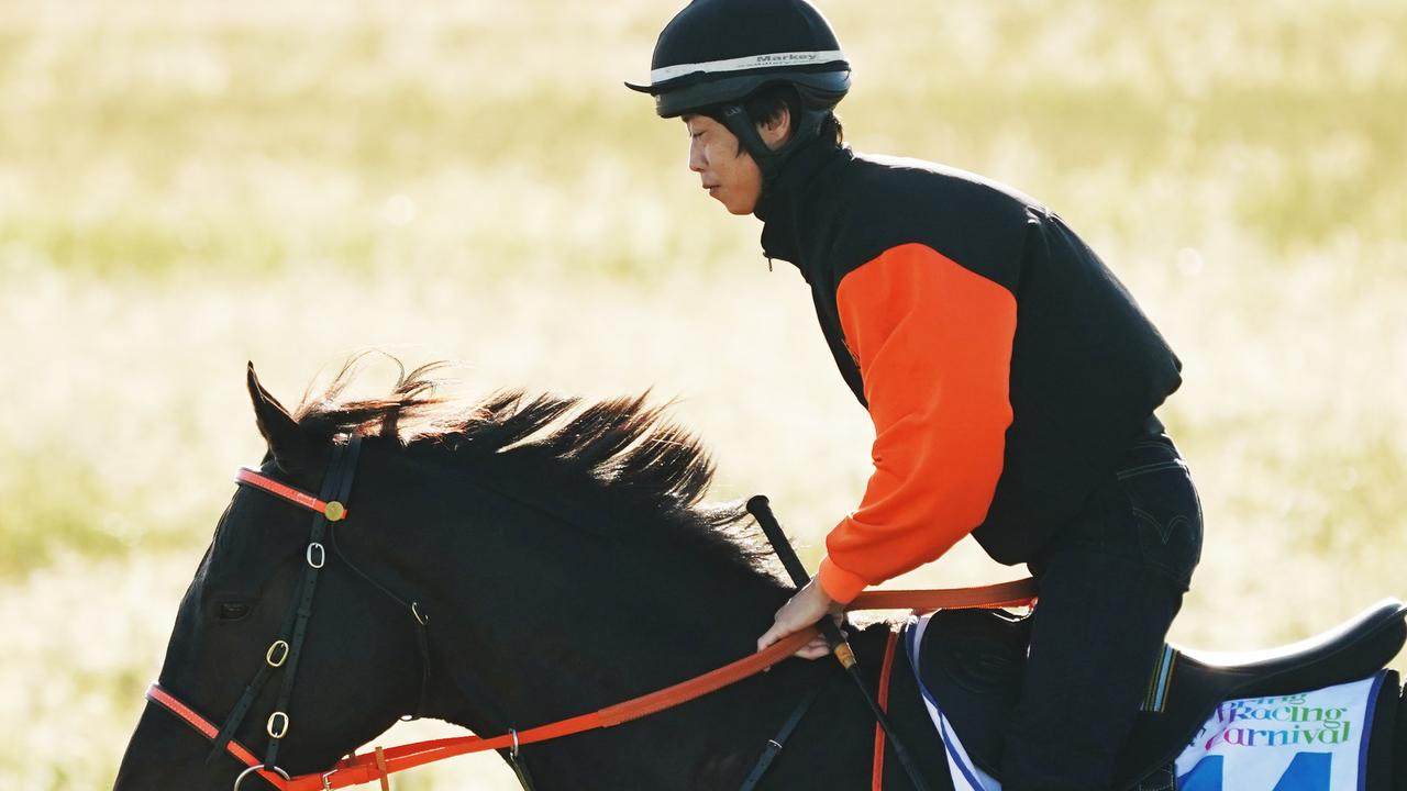 Kluger gallops during a track work session at Werribee this week. Picture: AAP Image