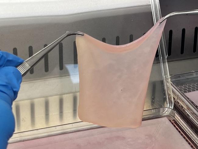 The artifical tissue mimics the top crucial layers of skin and comes after years of work at The Alfred and Monash University. Picture: supplied