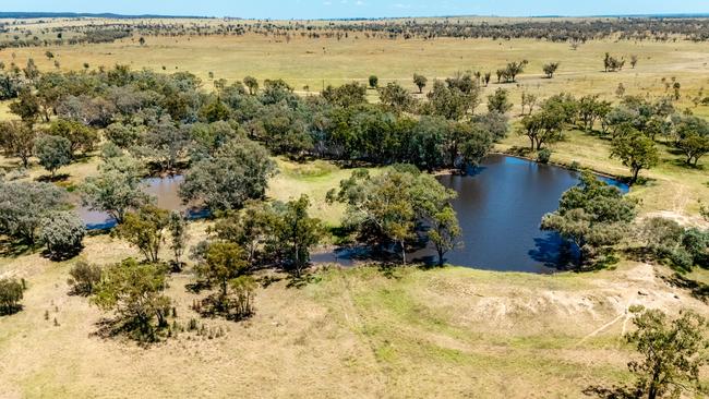 The Chiconi family are selling the 33,959ha Taylors Plains, a wagyu breeding and finishing property located at Mungallala in southwest Queensland.