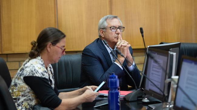 Reconvened Coffs council meeting , black banned by four of the eight councillors. Cr Sally Townley Cr George Cecato. 26 July 2019