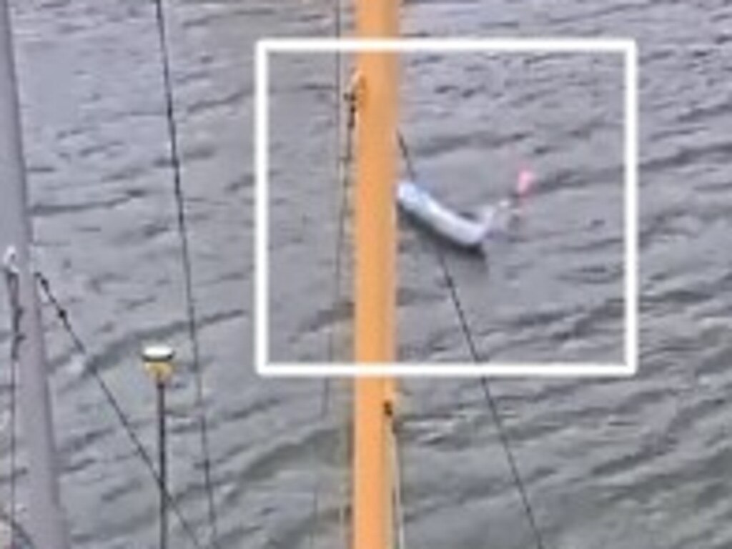 The moment the man took a dip after allegedly falling drunk from his kayak
