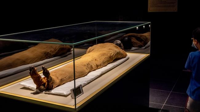 Children looking at the mummy of King Thutmose II (died 1479 BCE) at the National Museum of Egyptian Civilization.