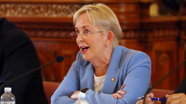 Shadow Minister for Health and Ambulance Services Ros Bates during Estimates Hearings at Parliament House. Pics Tara Croser.