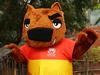 Nutmeg the wombat is named as the 2015 Asian Cup mascot during a launch at Wild Life Sydney Zoo in Darling Harbour, Sydney. Pic Brett Costello