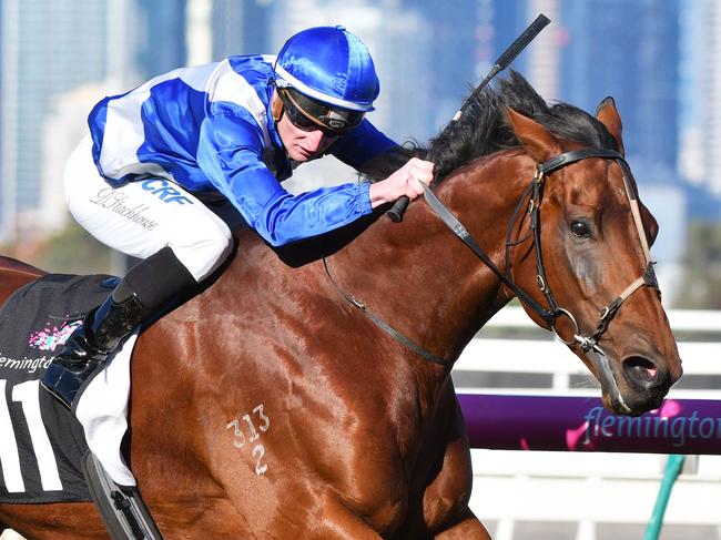 MELBOURNE, AUSTRALIA - MAY 20:  Daniel Stackhouse riding Sovereign Nation winning Race 5, Lloyd Williams Hall of Fame Trophy during Melbourne Racing at Flemington Racecourse on May 20, 2017 in Melbourne, Australia.  (Photo by Vince Caligiuri/Getty Images)