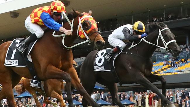 SYDNEY, AUSTRALIA - SEPTEMBER 28: James McDonald riding Firestorm  wins Race 4 E-Group Protective Services during "Golden Rose Day" Sydney Racing at Rosehill Gardens on September 28, 2024 in Sydney, Australia. (Photo by Jeremy Ng/Getty Images)