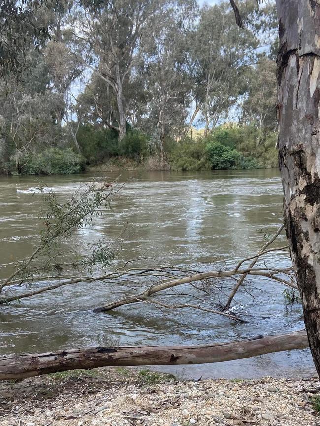 The location along the Goulburn River where the body of 18-year-old Jodus Murphy was discovered on June 14. Picture: Supplied