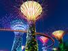 'Dark' Singapore activity that will have you stunned
