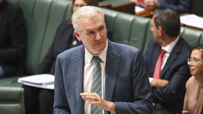 Workplace Relations Minister Tony Burke. Picture: NCA NewsWire / Martin Ollman