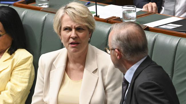 Minister for Environment and Water Tanya Plibersek vetoed the Victorian government’s proposal for a Port of Hastings offshore wind construction terminal in December. Picture: NCA NewsWire / Martin Ollman