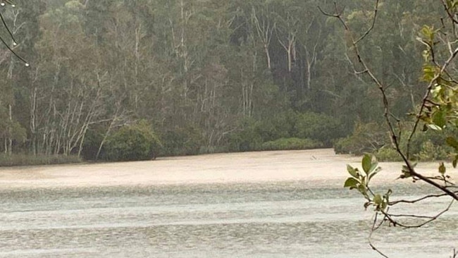 Karen Dallas and the Woolgoolga Lake Working Group are concerned at how a significant amount of silt runoff was able to flow into Woolgoolga Lake, turning it brown in July 2021.