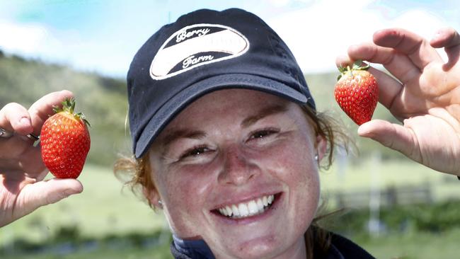 Sophie Nichols, from Littlewood Berry Farm near Richmond, says strawberry season should be in full swing by late next week. Picture: KIM EISZELE