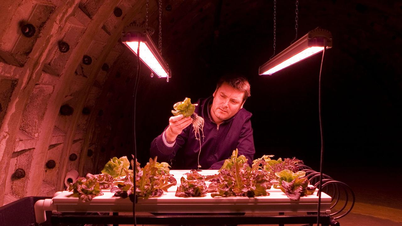 The farm sits inside an old air-raid shelter at Clapham, in London’s South. Picture: Flickr/Zero Carbon Food