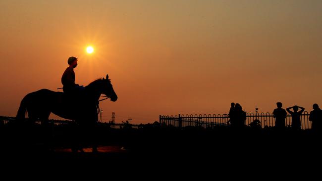 A horse and jockey in the mounting yard for race 2 at Canterbury Park night racing. pic mark evans